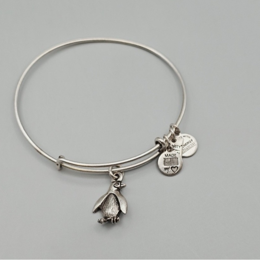 Alex and Ani Silver Penguin Charm Bracelet
